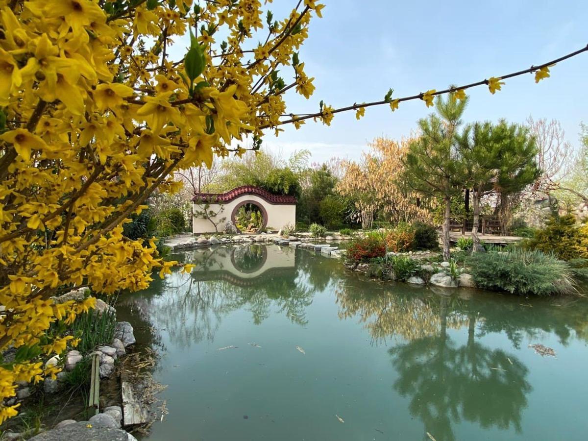 Uzumfermer Hotel & Winery Tachkent Extérieur photo
